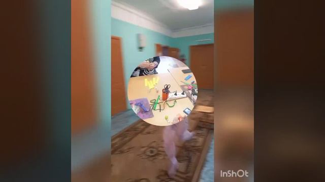 " Страна чудес "- проект, который объединяет смотреть онлайн