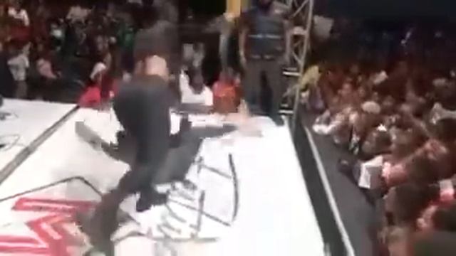 Jessica Pitbull beija fã e se atira na plateia смотреть онлайн