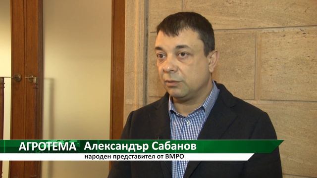 Агротема: Трюфелите – предложения за нов закон, автор: Мирела Спасова смотреть онлайн