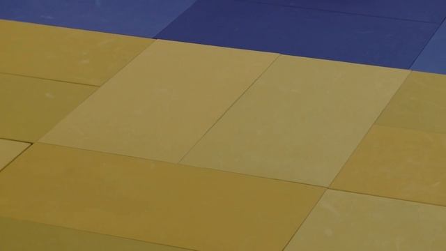 Боджоков Рамазан. До 35 кг. Открытое первенство "ЦФКСиЗ" Московского р-а по дзюдо. 03.03.2019г. смотреть онлайн