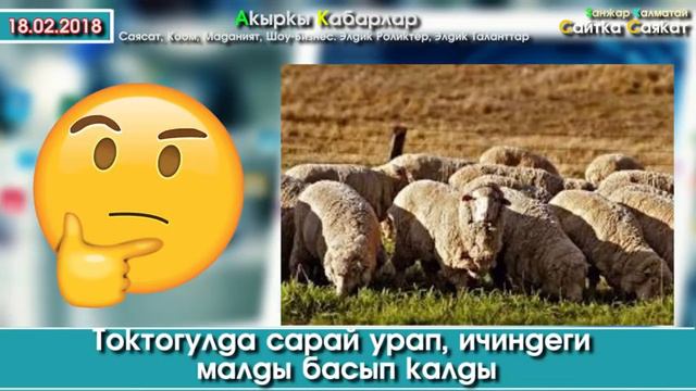 Кара-Сууда 10-класстын окуучусу асынып каза болду | Акыркы Кабарлар смотреть онлайн