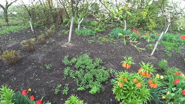 Празднуем Пасху! Шашлык на мангале, Отдых удался) Купили старый дом в деревне у реки