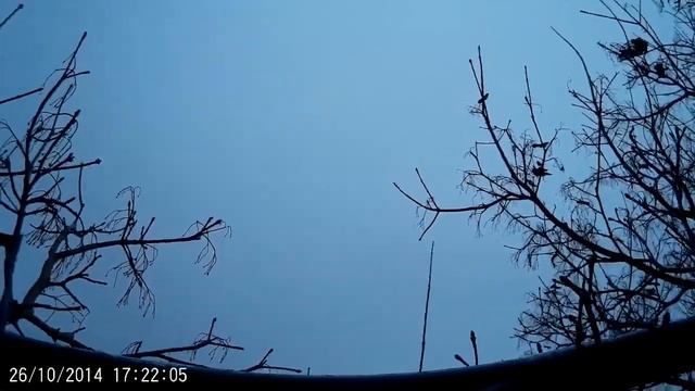 Квадрокоптер V262 UFO застрял в ветках смотреть онлайн