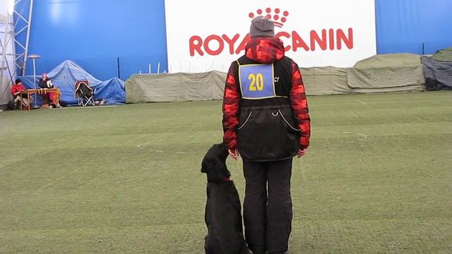Rika AVA смотреть онлайн