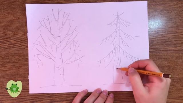 Рисуем деревья. Береза и ель. смотреть онлайн