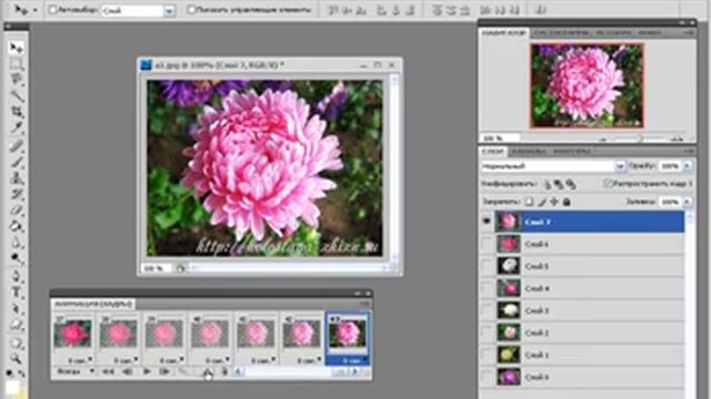 Анимация в PhotoShop Автоматическое преобразование.mp4 смотреть онлайн