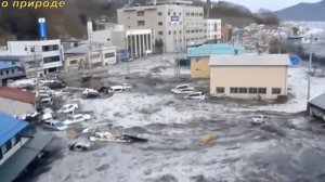 Интересные факты о землетрясениях.