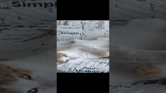 Кузя смотреть онлайн