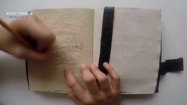 НОЧНЫЕ СИЯНИЯ. МОЯ КНИГА ДРАКОНОВ смотреть онлайн