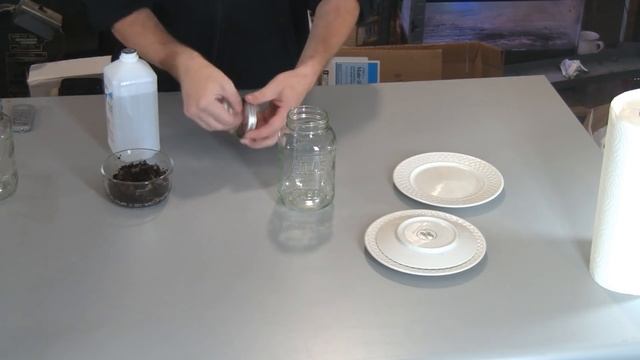 How To Grow Oyster Mushrooms From Used Coffee Grounds Cheap And Easy - Part 1 смотреть онлайн