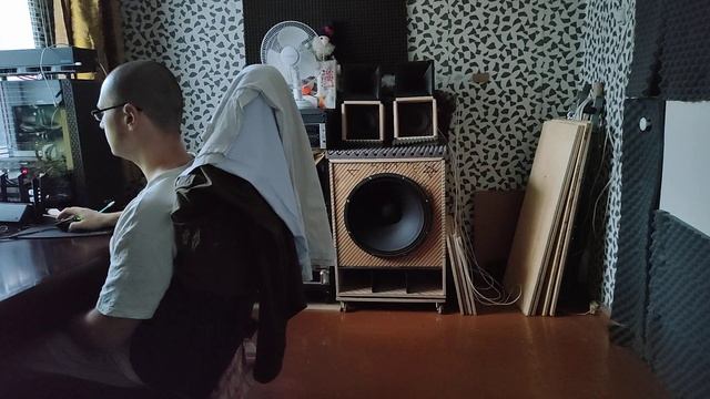 Слушаю новые ВЧ P.Audio SD-44BN + Рупоры P.Audio PH-220 смотреть онлайн