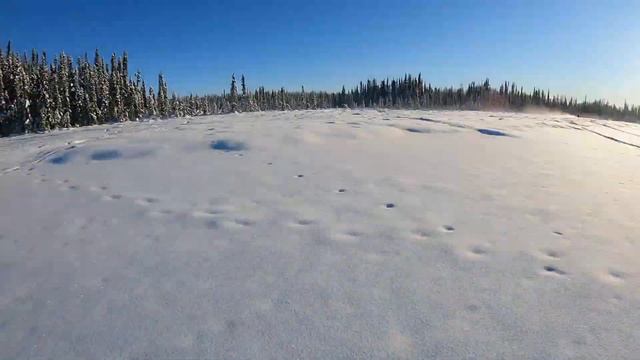 2021 SKI DOO EXPEDITION XTREME 850 | BACKCOUNTRY RIDE ALONG | ALASKA POV