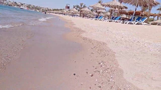 Пляж залива Наама Бей (Шарм-эль-Шейх, Египет) смотреть онлайн