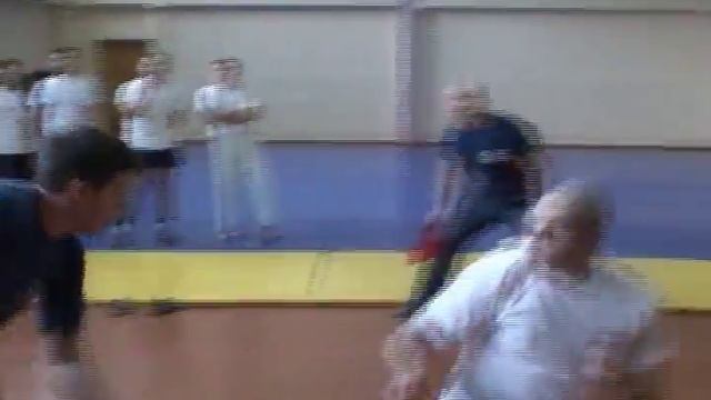 круг 1 бой 1 (Мухин-Мироненко).