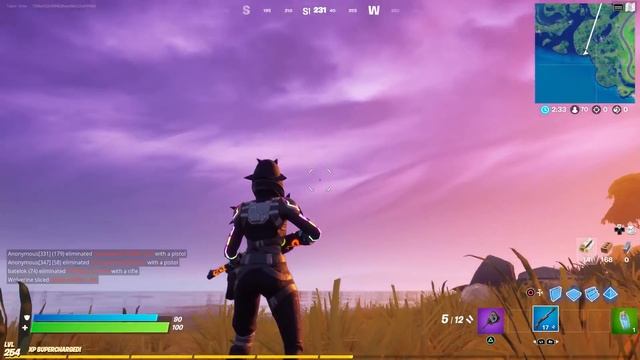 New MAYHEM Skin Style Review & Gameplay (Mayhem's New "Manic" Style) смотреть онлайн