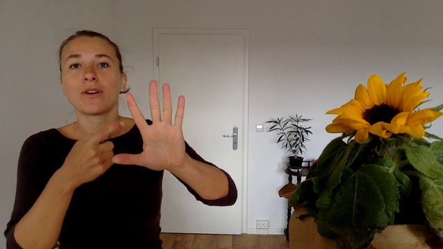SIBO and Candida - 3 Reasons Why You Haven't Healed Yet смотреть онлайн