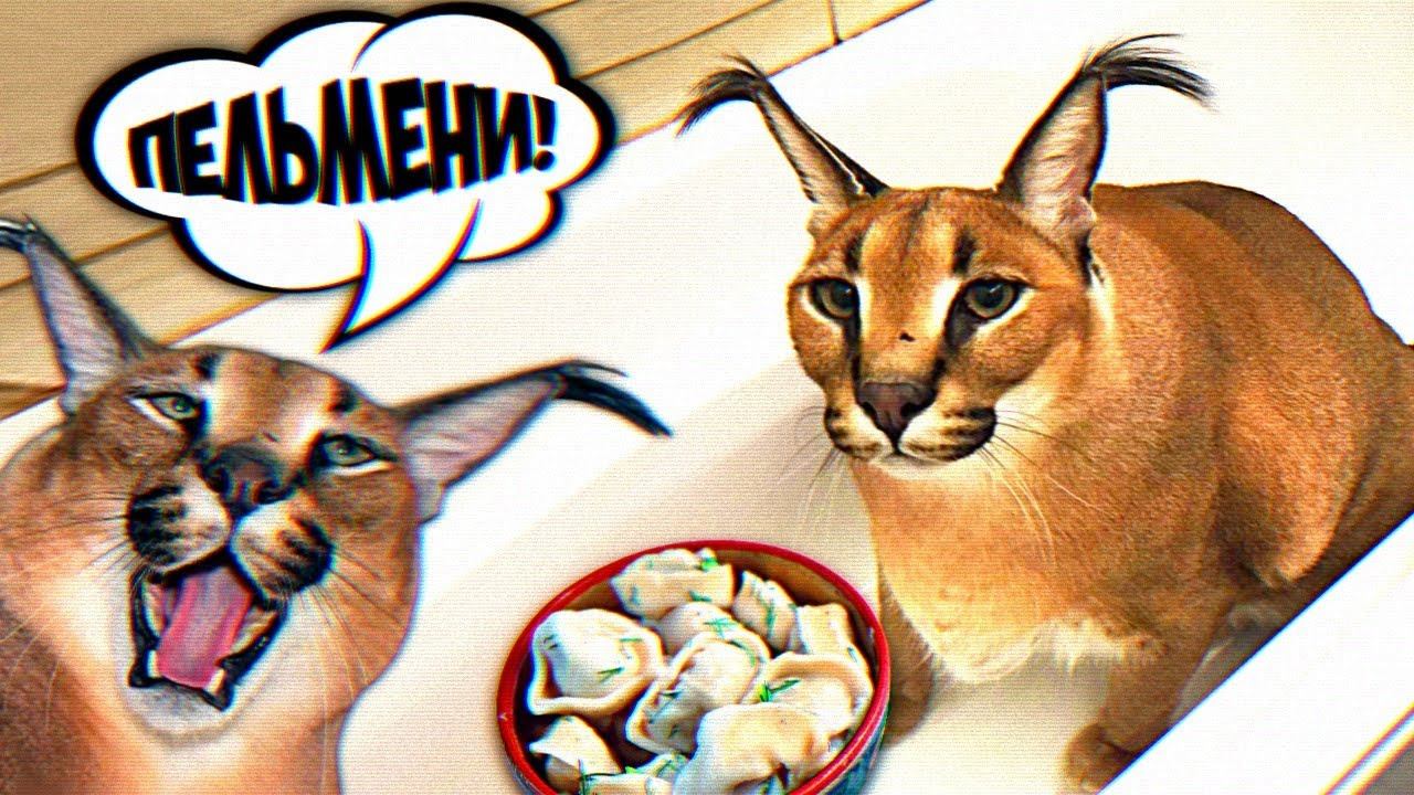 ПЯТЬ НОЧЕЙ у ШЛЁПЫ ШЛЕПА ЛЮБИТ ПЕЛЬМЕНИ !!! Five Nights at Floppa смотреть онлайн