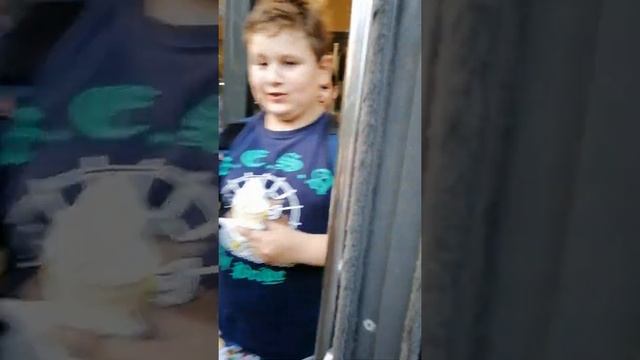 Пробуем заказать в макавто на великах смотреть онлайн