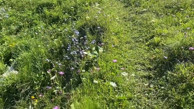 НАШ ДЕНЬ ОТ ЗАВТРАКА ДО УЖИНА, ВОДА ИЗ ИСТОЧНИКА, ЗАКРЫВАЮ ОГУРЦЫ / ЖИЗНЬ В ДЕРЕВНЕ НА ПЕНСИИ