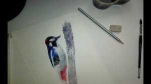 Рисуем дятла