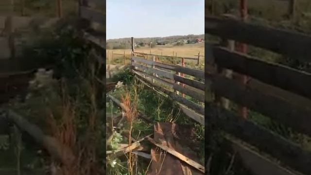 Видео 3 строим сарай навес часть 2