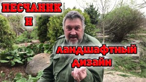 Ландшафтный дизайн участка и песчаник. Садовый дизайн вокруг дома🍀