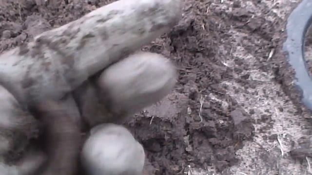 Kоп возле реки Преголя. Восточная пруссия. смотреть онлайн