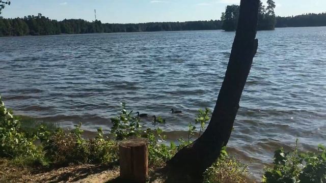 Велопокатушка 80 км / Озеро Таир и часовня смотреть онлайн