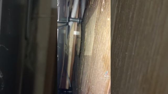 Ремонт посудомоечной машины Electrolux ошибка i30 смотреть онлайн