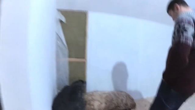 КАК ПОСТРОИТЬ ДОМ СВОИМИ РУКАМИ смотреть онлайн