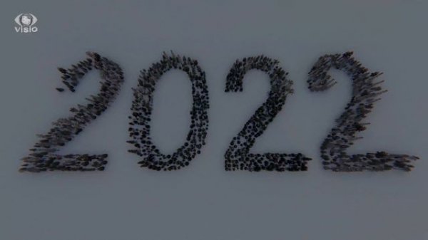 С Новым годом! 2022