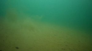 как снимает экшн камера SJCAM 4000 под водой