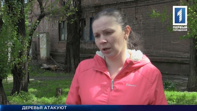 Деревья атакуют смотреть онлайн