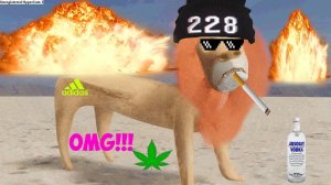 ЛЬВУМБАБА(2)