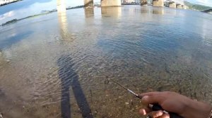 ТАЙМЕНЬ ФОРЕЛЬ на ЕНИСЕЙ рыбалка поймал рыбу