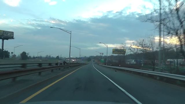 Домашние животные в Америке смотреть онлайн