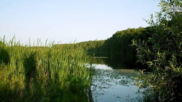 Фотопрогулка в поле смотреть онлайн