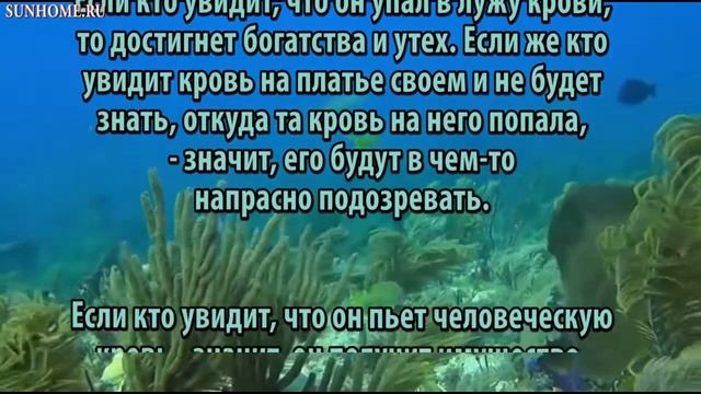 К чему снится Кровь сонник, толкование сна смотреть онлайн