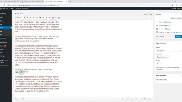 Lono - Responsive HTML5 Audio Player With Playlist - How To Use The Shortcode with Custom Fields смотреть онлайн