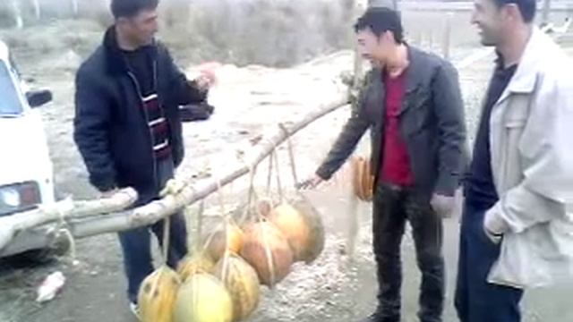 Зимние дыни в Узбекистане смотреть онлайн