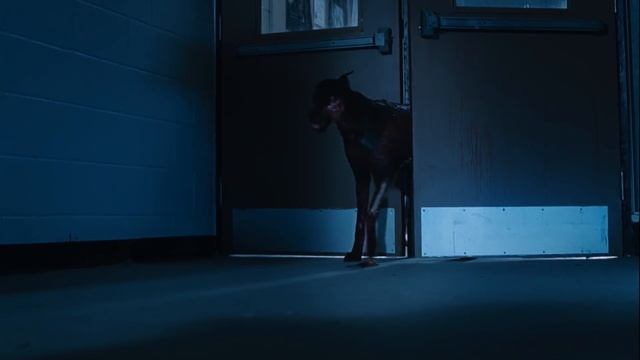 Zombified Dogs Chase After Jill | Resident Evil: Apocalypse | Creature Features