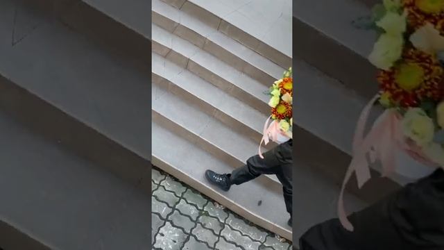 249245783 1768193516718982 5141144590215468003 n смотреть онлайн