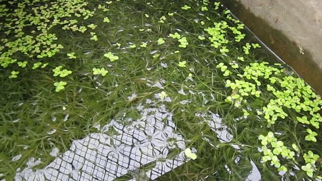 вёдрами килограммами метрами смотреть онлайн