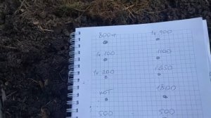 Выкопала картофель сорта Вымпел