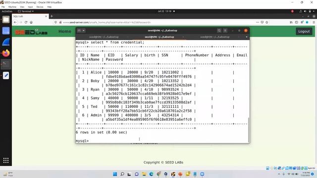 SQL injection Attack Seed Labs смотреть онлайн
