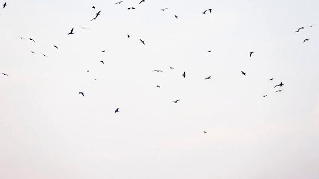 Три простых шага, чтобы получить тёплых клиентов для вашего бизнеса смотреть онлайн