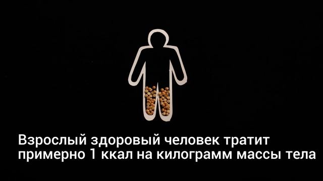 Что такое калория? смотреть онлайн