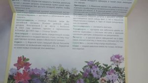 Учебное пособие «Скороговорки, чистоговорки», ТМ «Методики Н. Зайцева»
