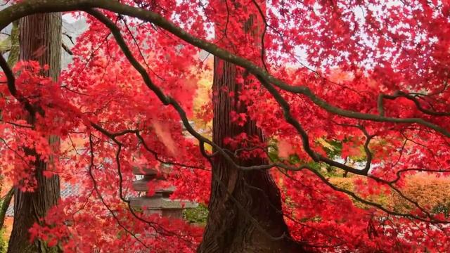 Парк Удовольствий