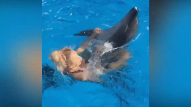 Крутите все подряд | Прикол #3 смотреть онлайн